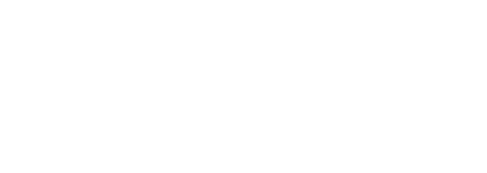 DPP Logo